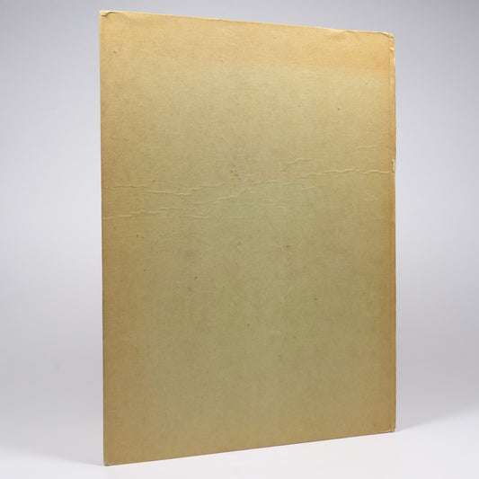 Hermynia Zur Mühlen - What Little Peter's Friends Told Him - Facsimile Edition