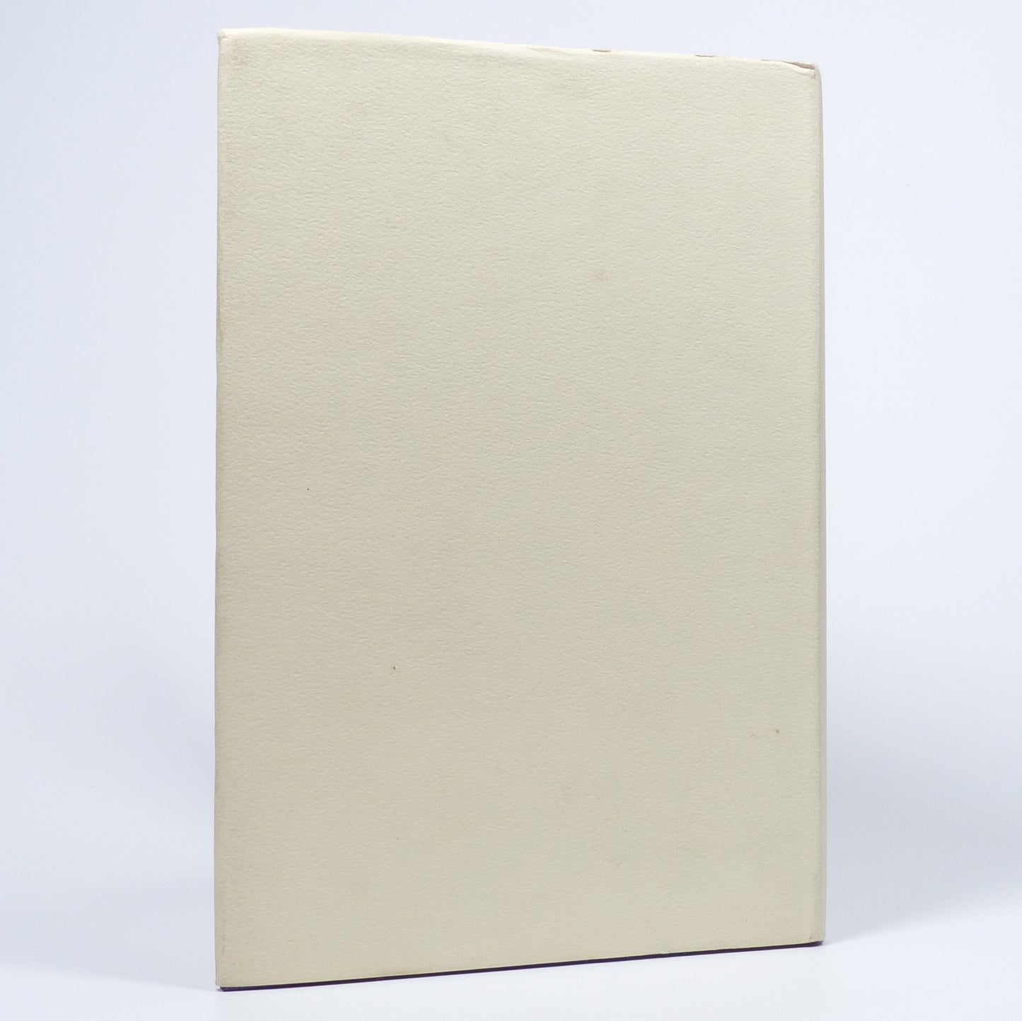 Stephen Boswell - The Abandoned Labyrinth - Limited First Edition