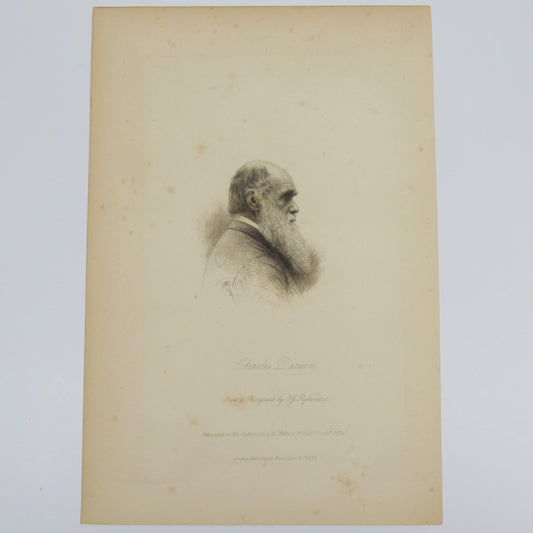 Original Engraving of Charles Darwin from Nature