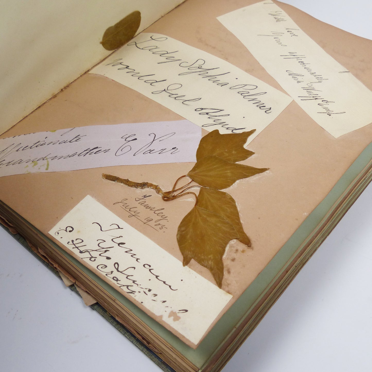 Writing Album with Signatures and Pressed Plants