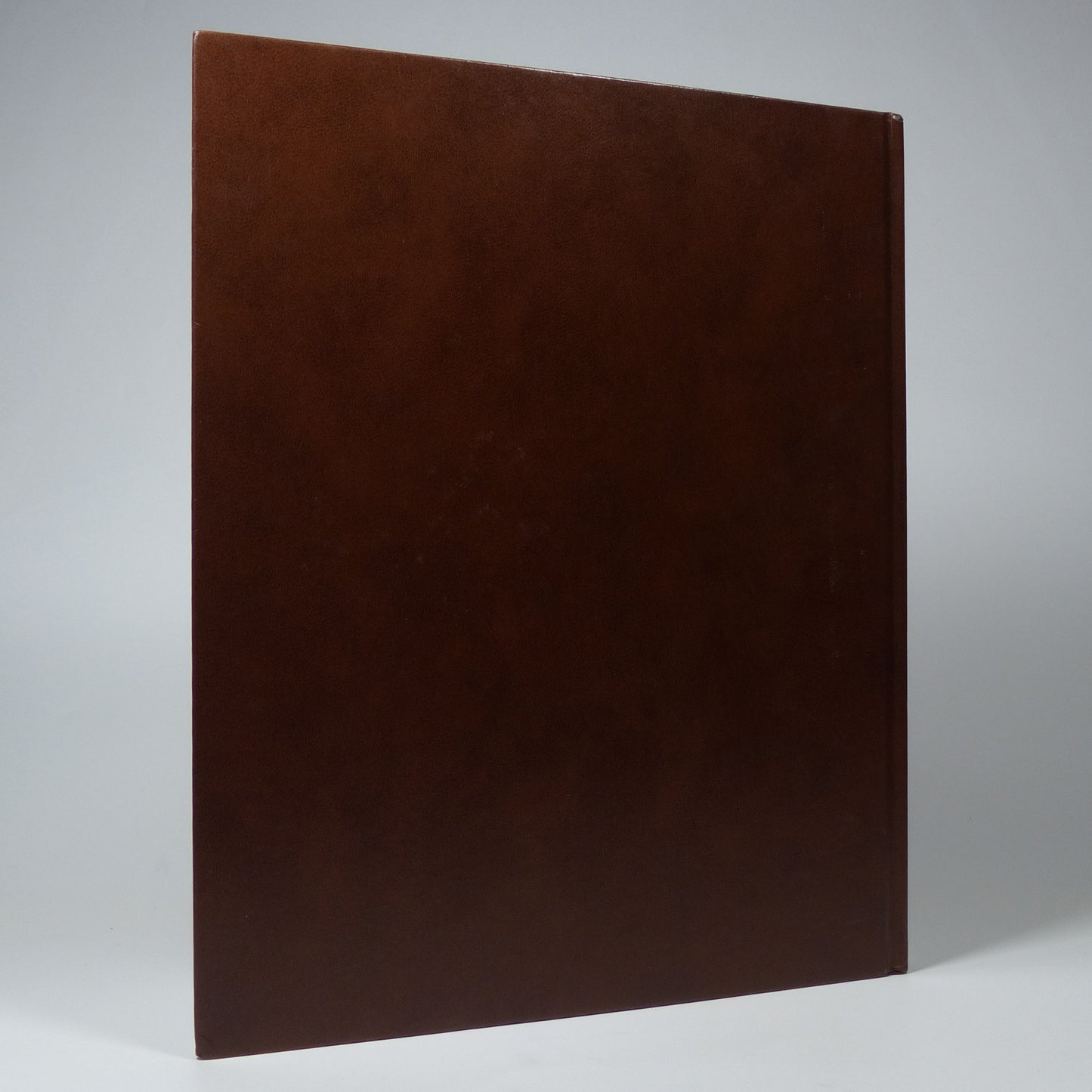 David Bailey - Havana - Signed First Edition