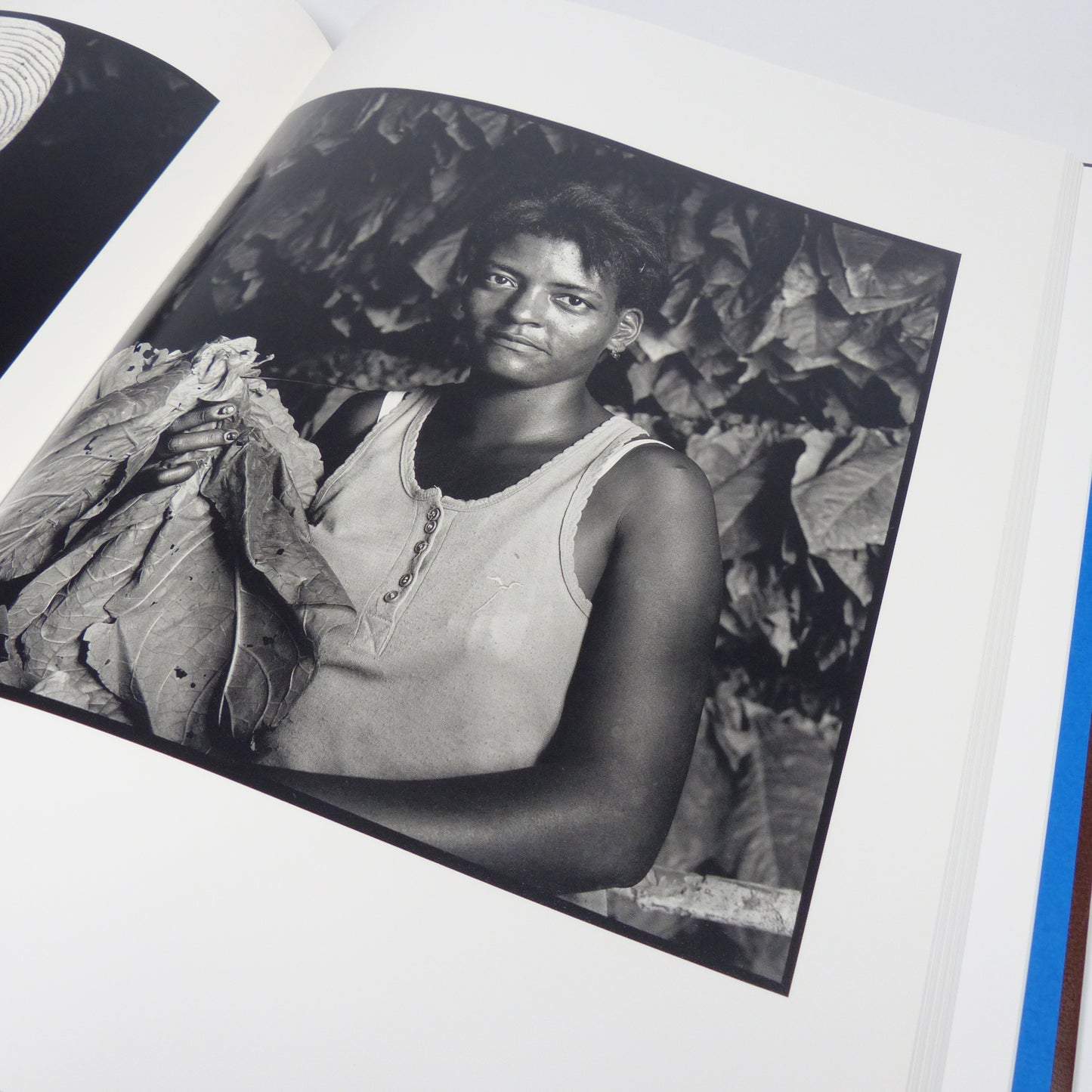 David Bailey - Havana - Signed First Edition