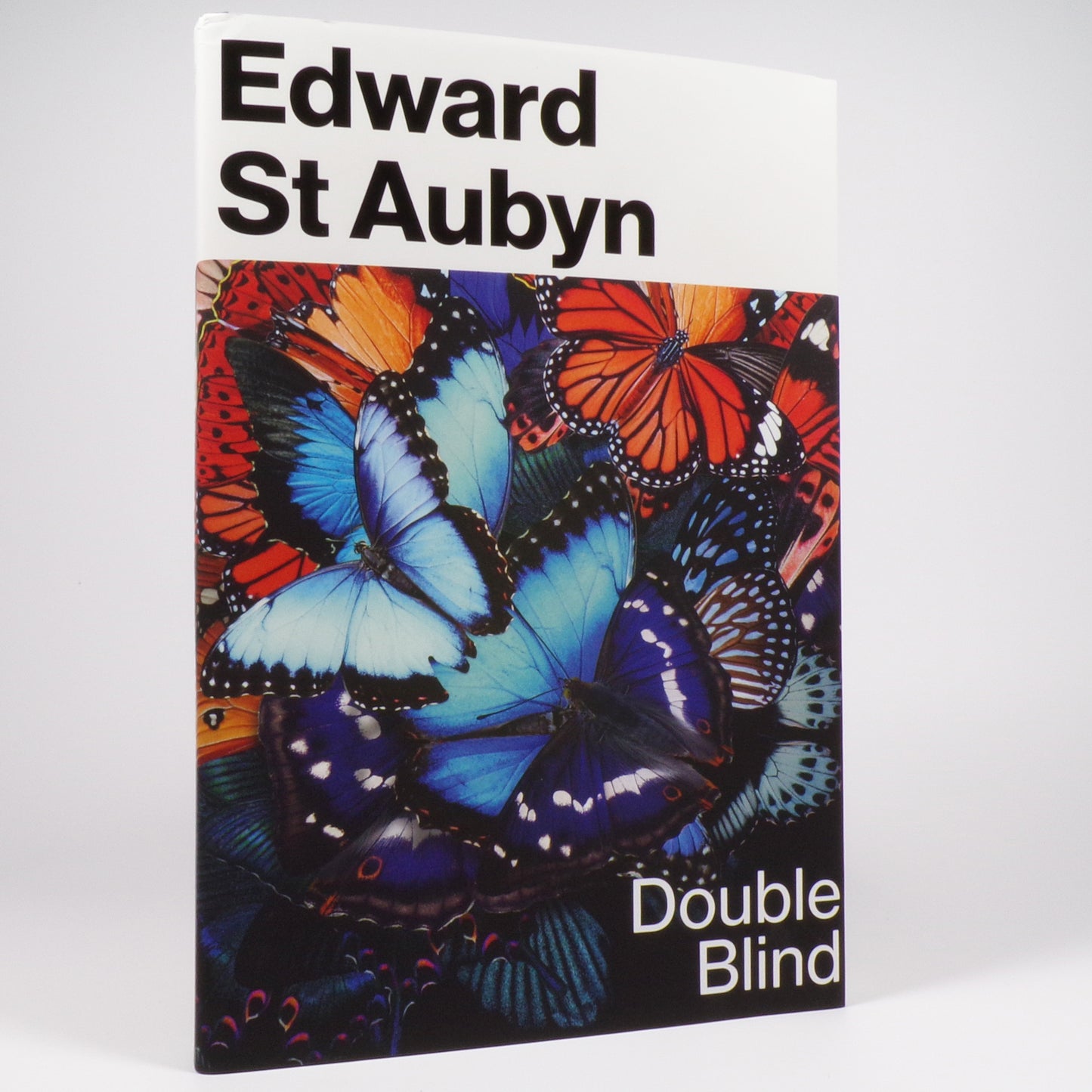 Edward St Aubyn - Double Blind - Signed First Edition